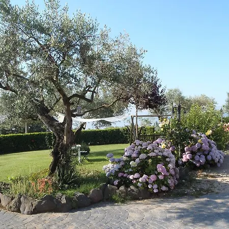 Il Poggio Degli Ulivi شقة