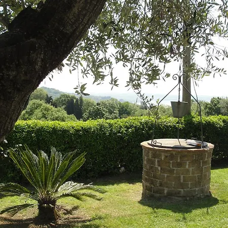 Il Poggio Degli Ulivi Apartment *